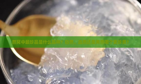 燕窝中最珍品是什么品种