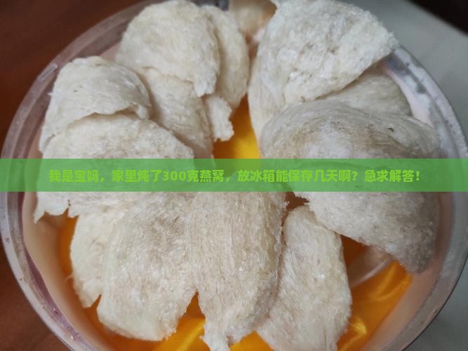 自己炖燕窝可以放多少天