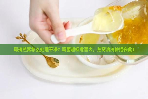 霉斑燕窝怎么处理干净