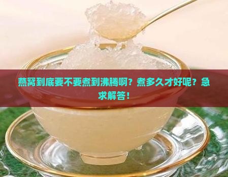 燕窝要煮的沸腾吗多久