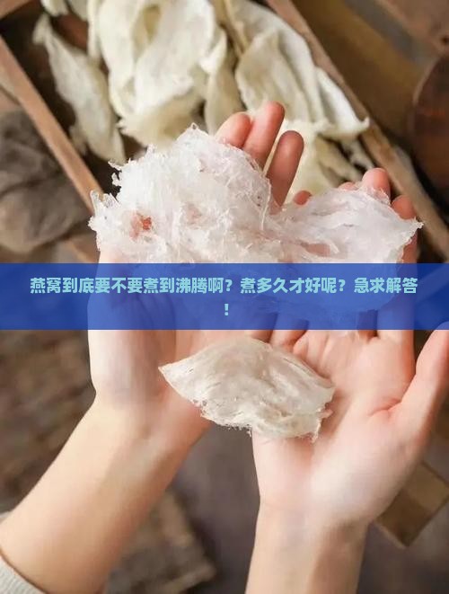 燕窝要煮的沸腾吗多久