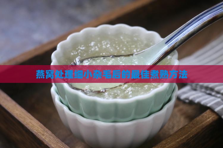 燕窝细小杂毛怎么煮熟好