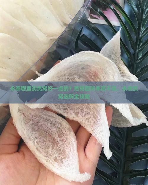 永泰哪里买燕窝好一点的