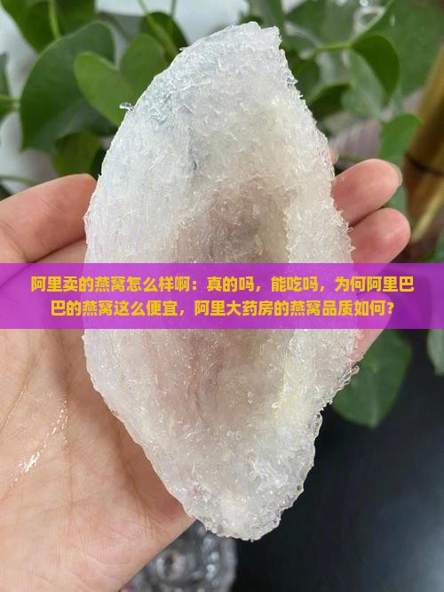 阿里卖的燕窝怎么样啊