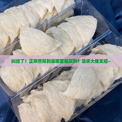 哪里可以买正规的燕窝