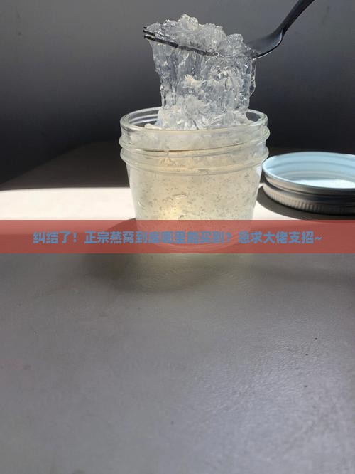 哪里可以买正规的燕窝