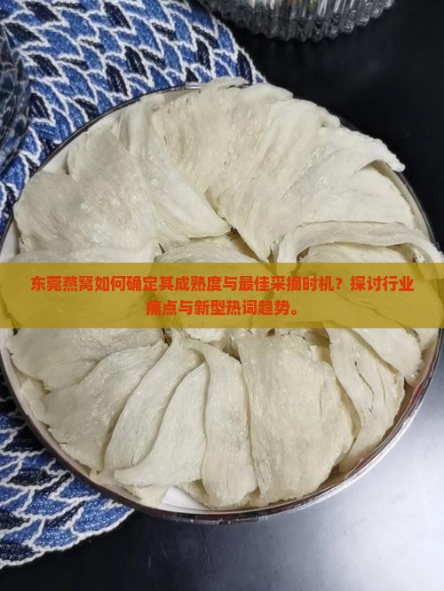 东莞燕窝多久成熟采摘的