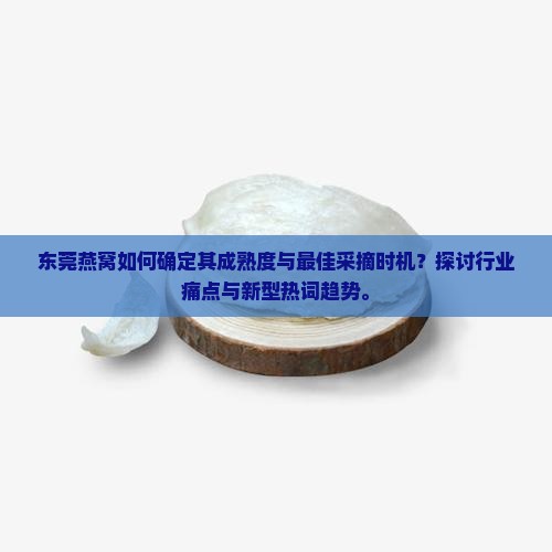 东莞燕窝多久成熟采摘的