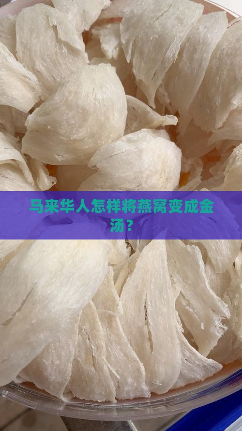 马来华人卖燕窝怎么样