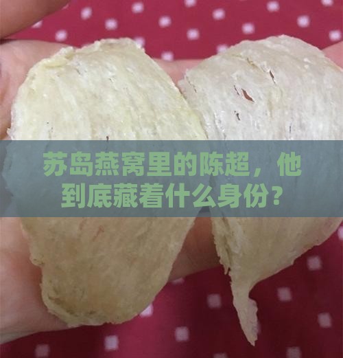 苏岛燕窝陈超是什么职位
