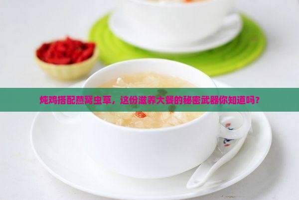 燕窝虫草炖鸡有什么功效
