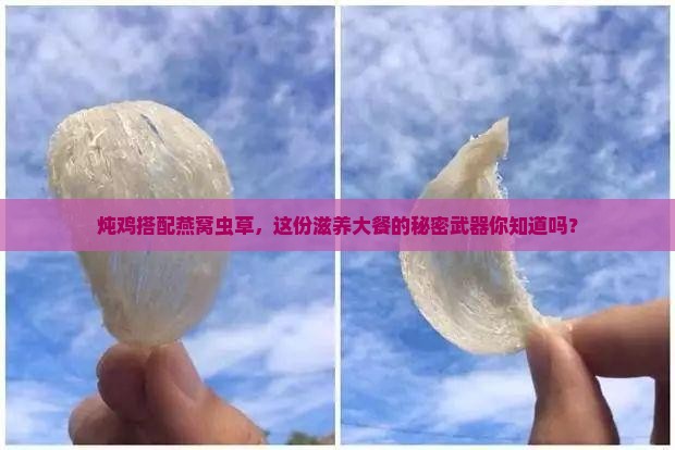 燕窝虫草炖鸡有什么功效
