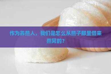 燕窝是从燕子哪里弄来的