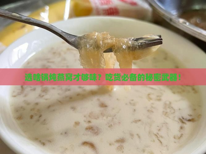 做燕窝用什么锅比较好