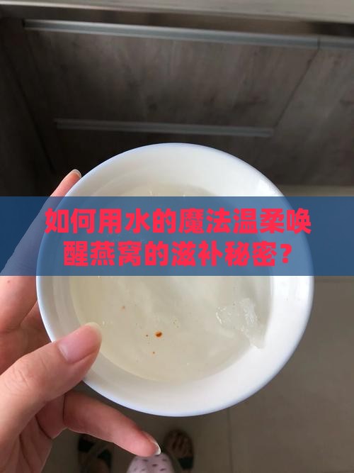 燕窝用什么水加热最好