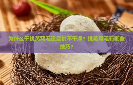 干挑燕窝毛怎么挑不干净