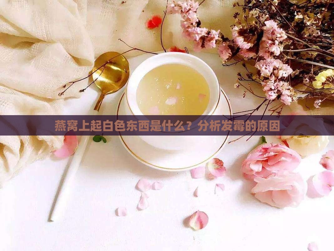 燕窝上起白色东西是什么