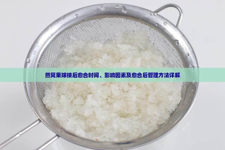 燕窝果嫁接多久才愈合 燕窝果嫁接多久才愈合