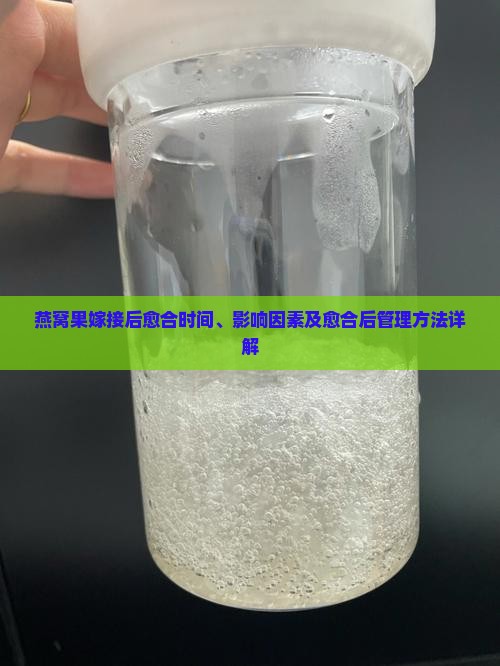 燕窝果嫁接多久才愈合 燕窝果嫁接多久才愈合