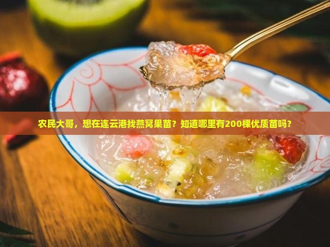 连云港市哪里卖燕窝果苗