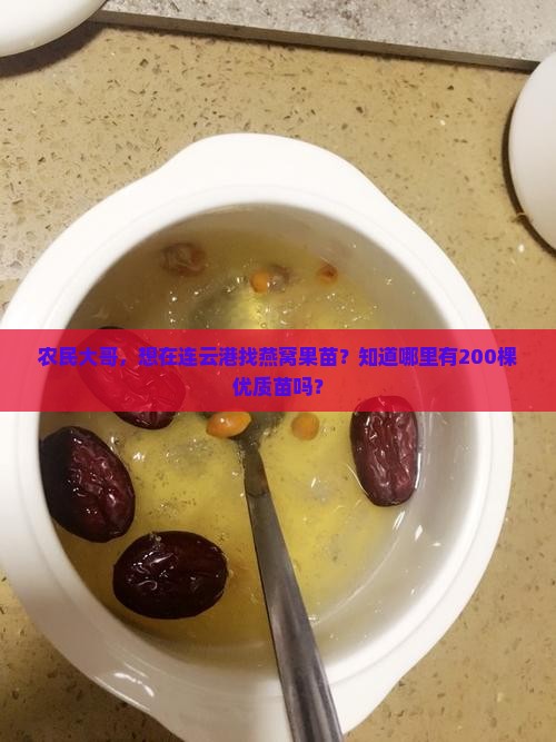 连云港市哪里卖燕窝果苗
