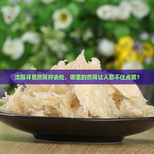 沈阳哪个地方买燕窝最好