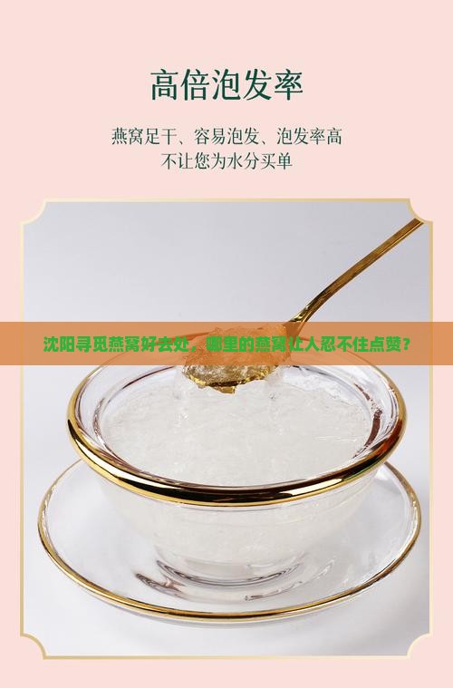 沈阳哪个地方买燕窝最好