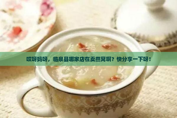 临泉县卖燕窝的店在哪里