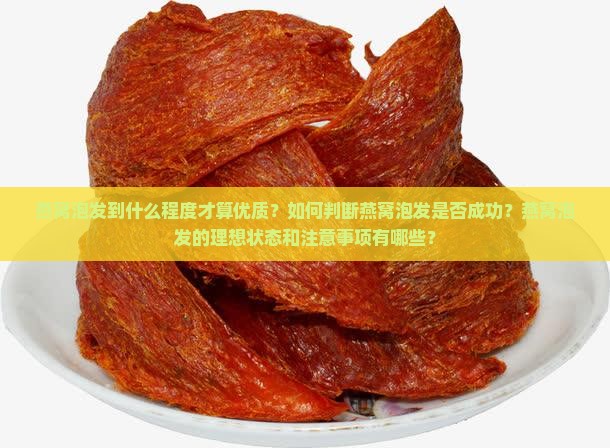 燕窝泡出来什么样算好