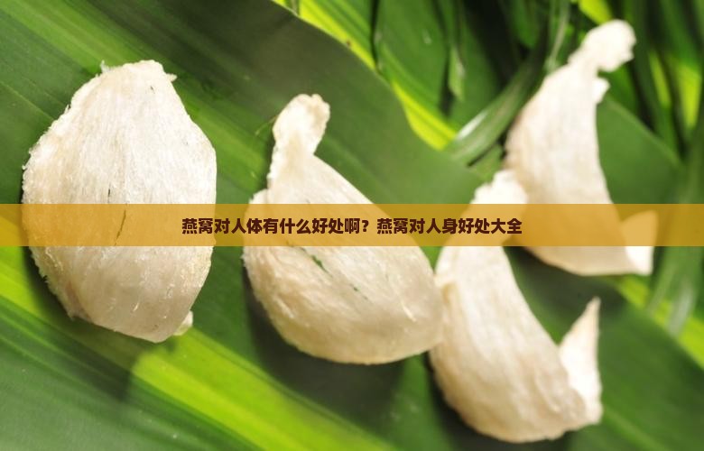 燕窝对人体有什么好处啊