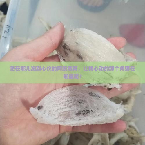 阿胶燕窝去哪里买好啊