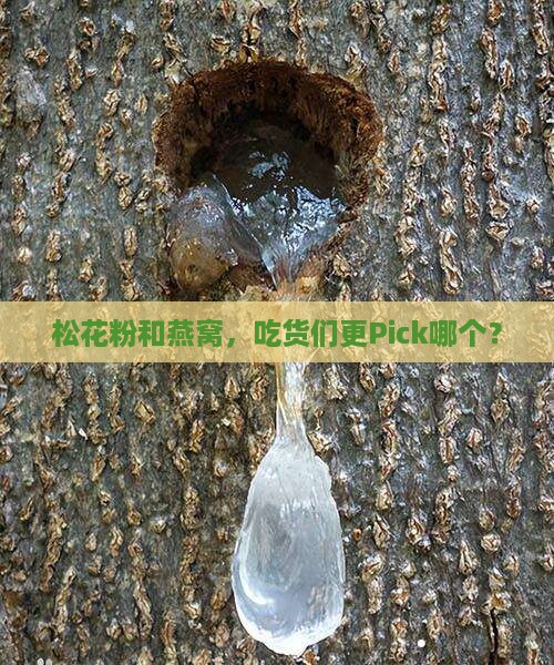 松花粉和燕窝哪个更好些