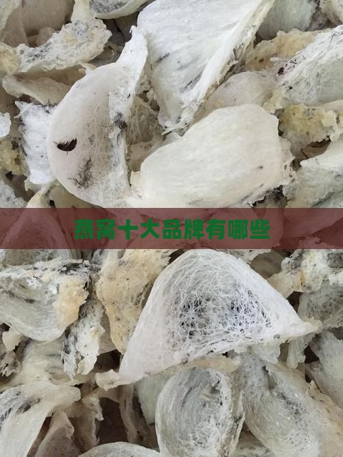 明星燕窝十大品牌有哪些