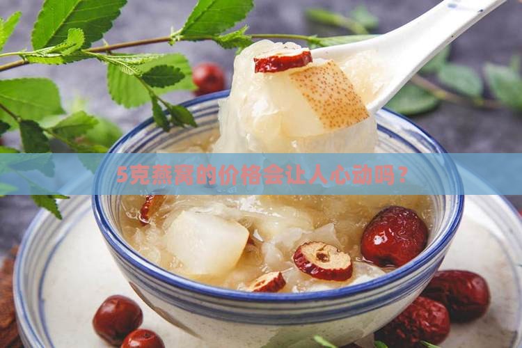 燕窝5克量大概是多少钱