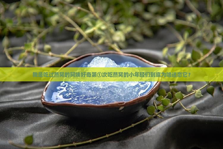 燕窝到底是怎么形成的