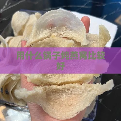 拿什么锅子烧燕窝比较好
