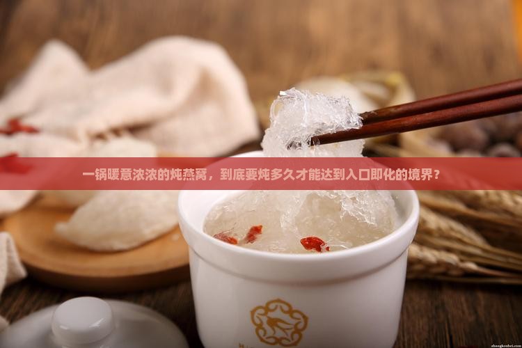 炖燕窝条炖多久能熟透