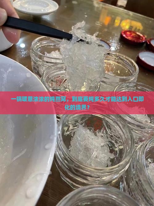 炖燕窝条炖多久能熟透