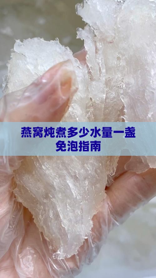 免泡燕窝一盏放多少水炖