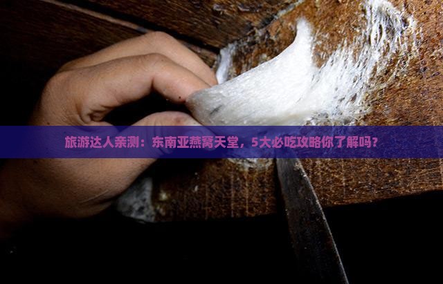 东南亚燕窝天堂怎么样