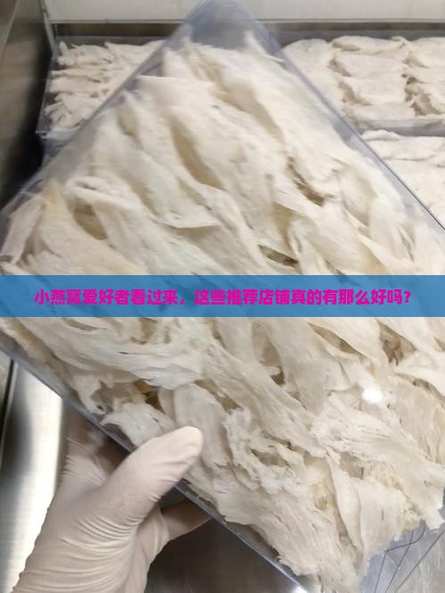 小燕窝推荐店铺有哪些好 小燕窝推荐店铺有哪些好