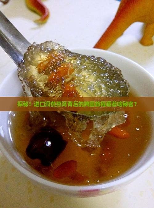 进口的洞燕燕窝怎么来的