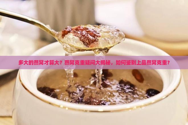 一个大的燕窝多少克啊