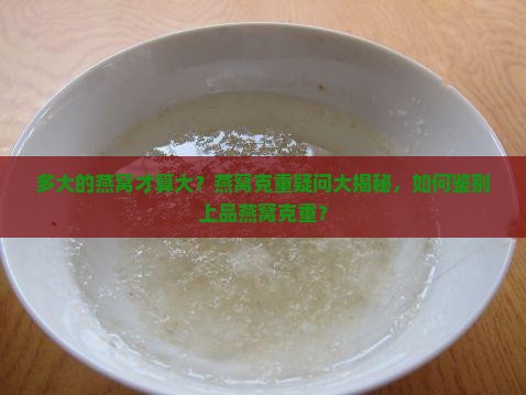 一个大的燕窝多少克啊