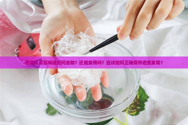 燕窝发霉味道怎么去除