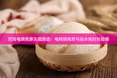 燕窝电锅煮多久能熟透