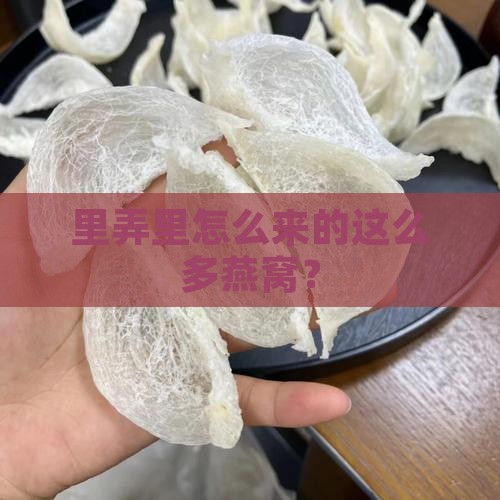 从哪里弄这么多燕窝呢