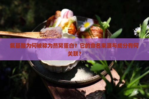 氨基酸为什么叫燕窝蛋白