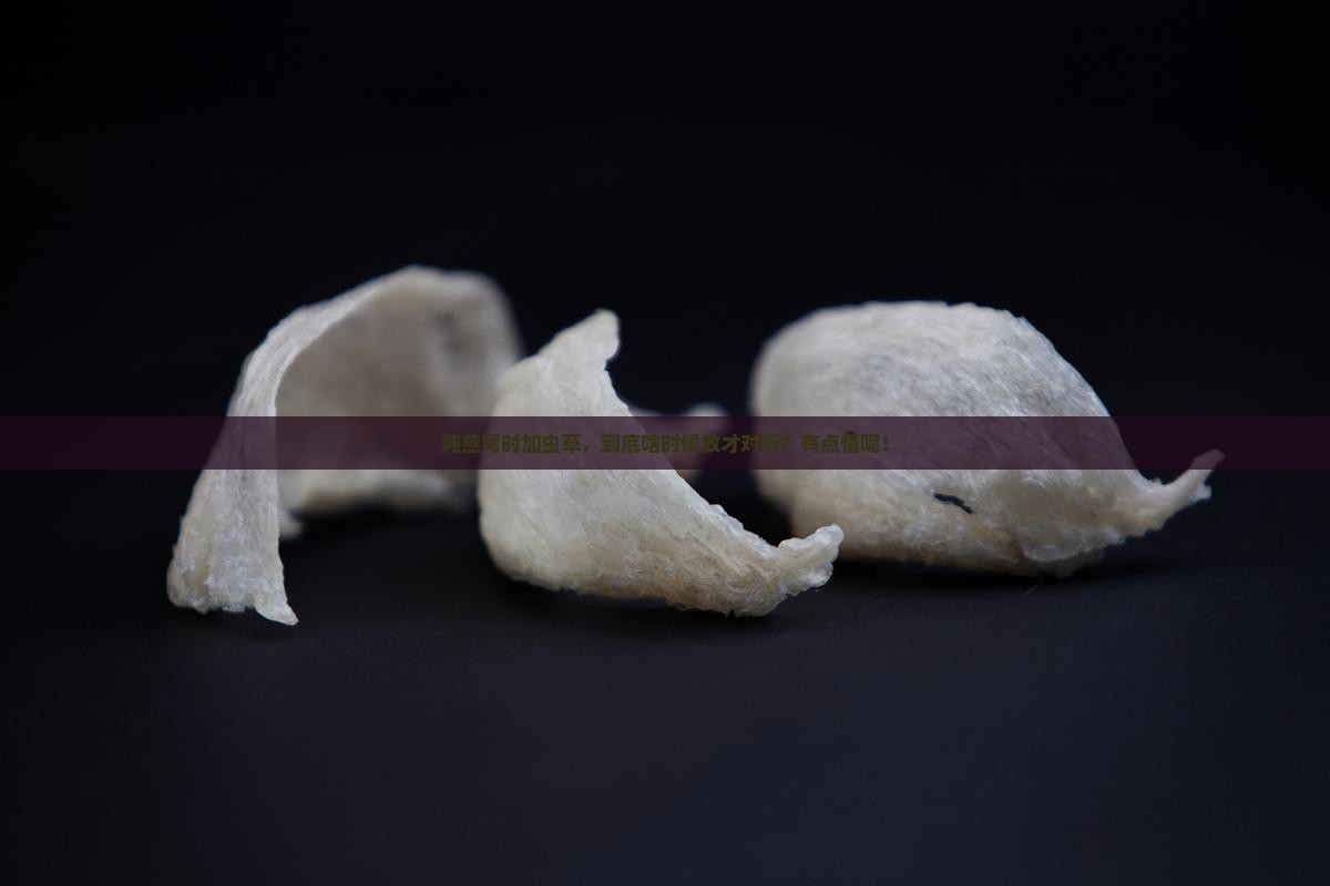炖燕窝加虫草什么时候放