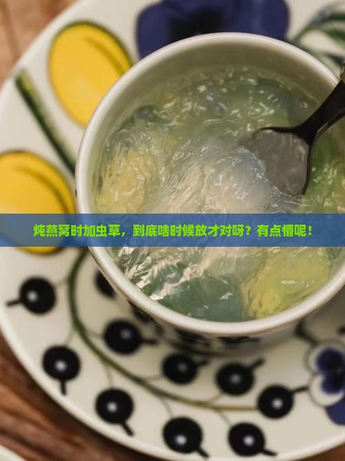 炖燕窝加虫草什么时候放